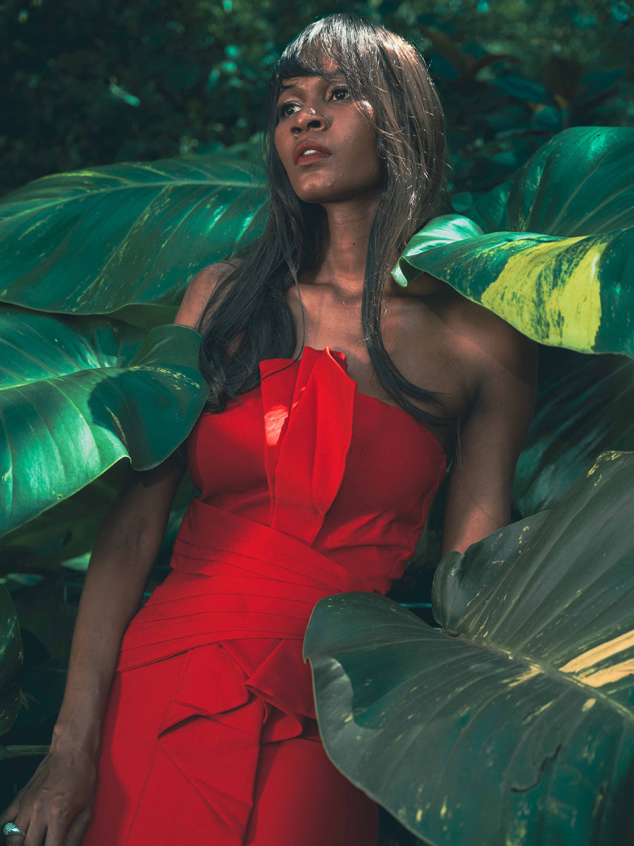 Rouge Harmonie Drapée Maxi Dress